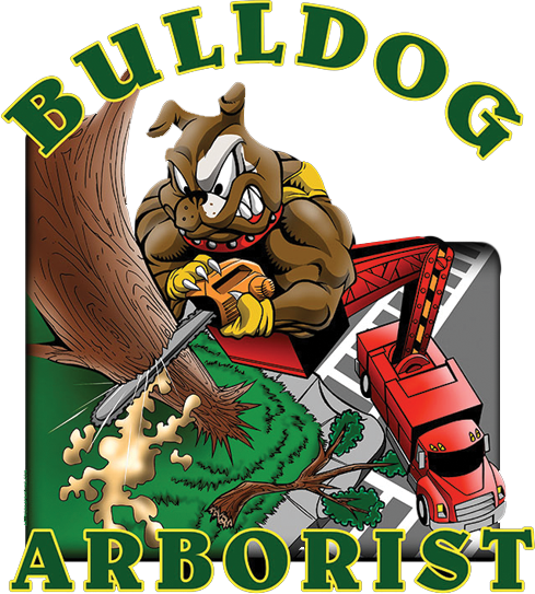 Bulldog Arborist logo