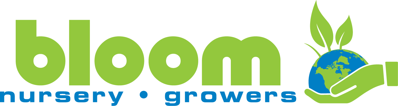 Bloom Nursery logo