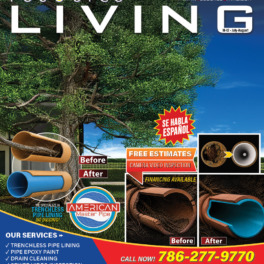 D1 Magazine Cover American Master Pipe