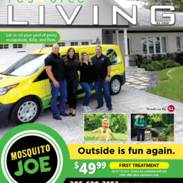 D4 Magazine Cover Mosquito Joe