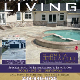 Collier Magazine Cover New Castle Artisan